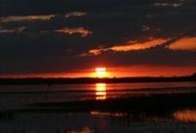 Boggy Creek Night Expedition 